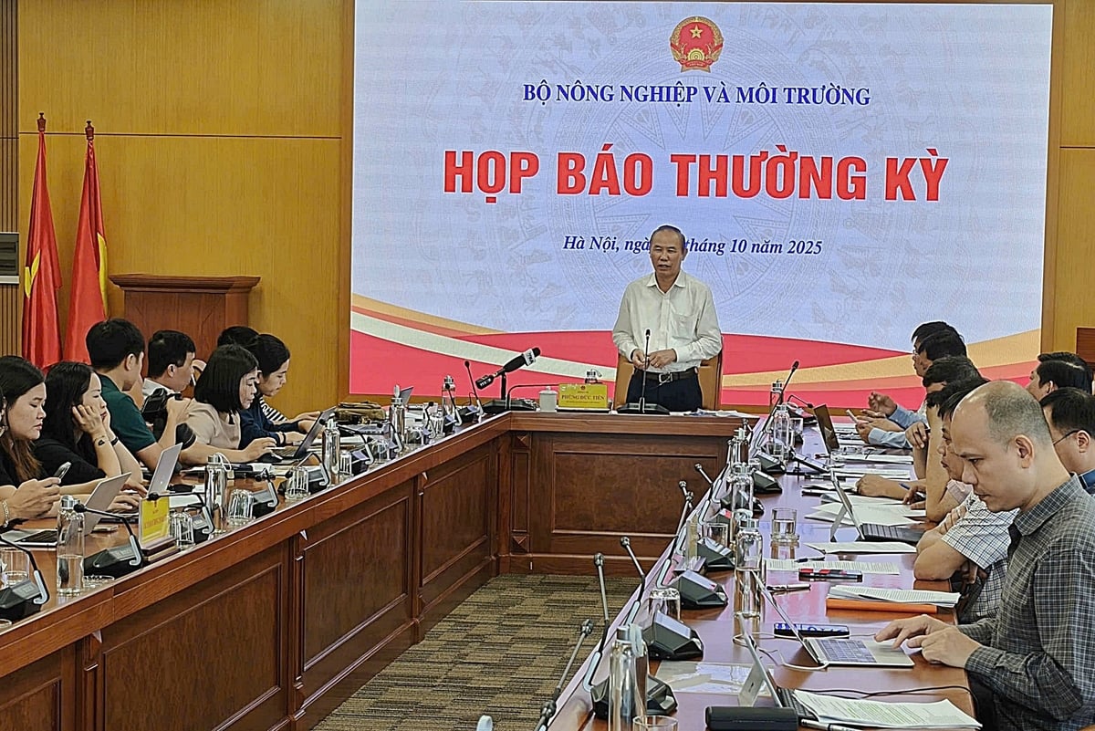 Nhiều cơ hội giúp phá kỷ lục xuất khẩu nông, lâm, thủy sản- Ảnh 1.
