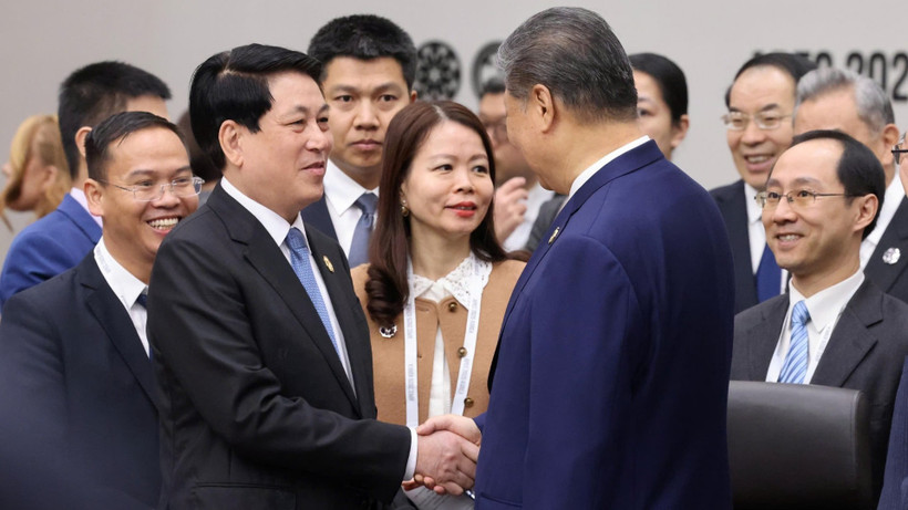 Chủ tịch nước Lương Cường gặp Tổng Bí thư, Chủ tịch nước Trung Quốc Tập Cận Bình- Ảnh 1.