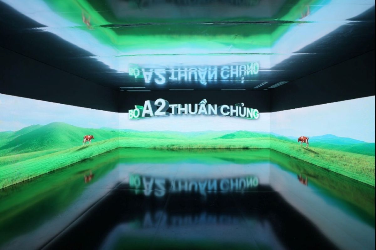 Thêm lựa chọn dòng sữa cao cấp đạt chuẩn quốc tế cho nhu cầu tăng cao của người tiêu dùng- Ảnh 2. Thêm lựa chọn dòng sữa cao cấp đạt chuẩn quốc tế cho nhu cầu tăng cao của người tiêu dùng- Ảnh 2.