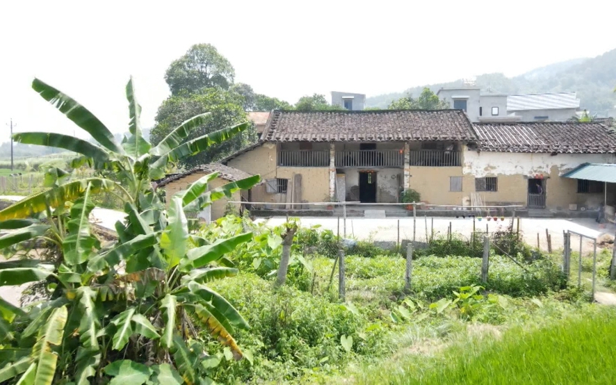 Hạn mức đất ở đối với đất khai hoang trước 18/12/1980