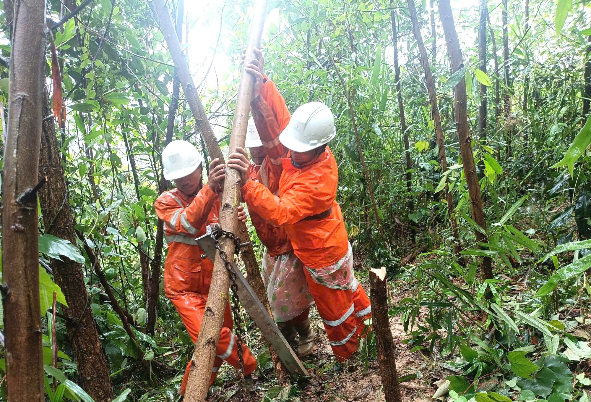 Nỗ lực khôi phục lưới điện sau mưa lũ tại miền Trung- Ảnh 3. Nỗ lực khôi phục lưới điện sau mưa lũ tại miền Trung- Ảnh 3.