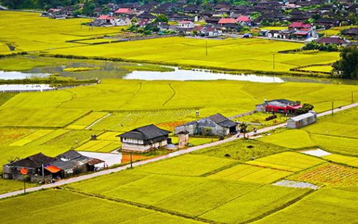 Điều kiện, thủ tục chuyển đất trồng lúa sang đất ở nông thôn