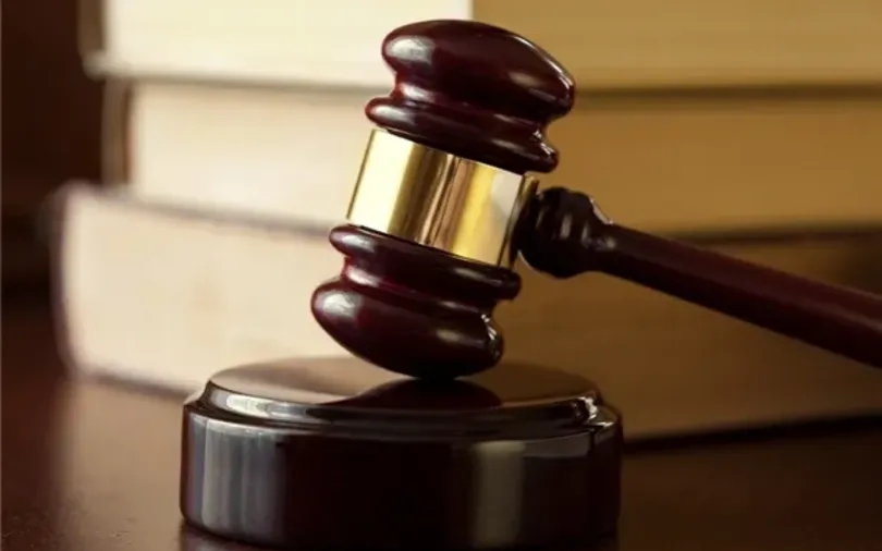 Chỉ đạo, điều hành của Chính phủ, Thủ tướng Chính phủ ngày 13/11/2025