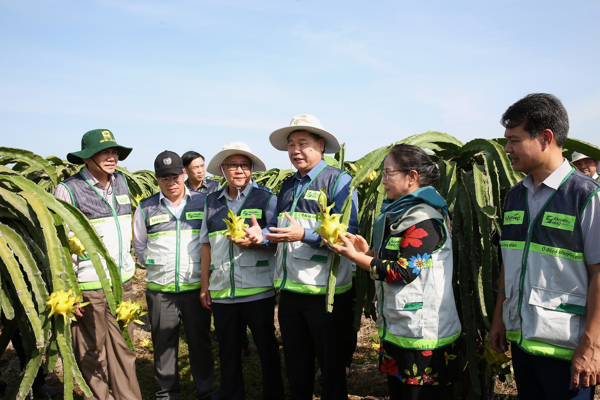 Khuyến nông 'bắt tay' doanh nghiệp: 'Thiên thời, địa lợi, nhân hòa' cho 1 triệu ha lúa chất lượng cao- Ảnh 2.