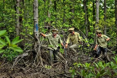Lâm nghiệp: Phát triển thị trường tín chỉ carbon từ định danh lô rừng- Ảnh 1. Lâm nghiệp: Phát triển thị trường tín chỉ carbon từ định danh lô rừng- Ảnh 1.