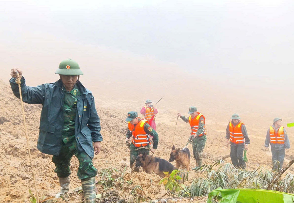 Tăng cường 'cảnh khuyển' tìm kiếm nạn nhân trong vụ sạt lở núi ở Đà Nẵng- Ảnh 1. Tăng cường 'cảnh khuyển' tìm kiếm nạn nhân trong vụ sạt lở núi ở Đà Nẵng- Ảnh 1.