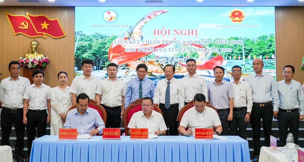 Xây dựng chuỗi liên kết cua Cà Mau: Bệ phóng cho đặc sản vươn xa- Ảnh 2. Xây dựng chuỗi liên kết cua Cà Mau: Bệ phóng cho đặc sản vươn xa- Ảnh 2.