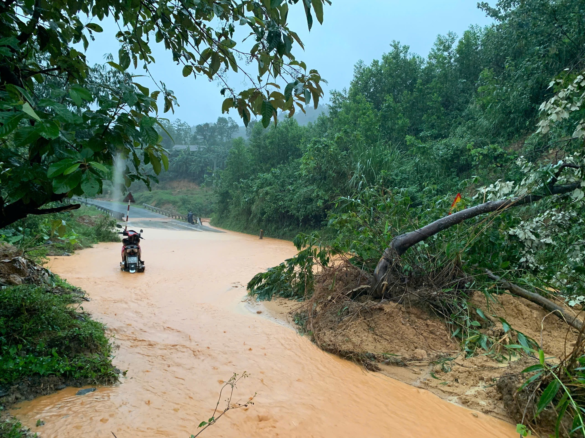 Quảng Trị: Hơn 1.400 hộ bị ngập, nhiều tuyến giao thông chia cắt, một người mất tích- Ảnh 2. Quảng Trị: Hơn 1.400 hộ bị ngập, nhiều tuyến giao thông chia cắt, một người mất tích- Ảnh 2.