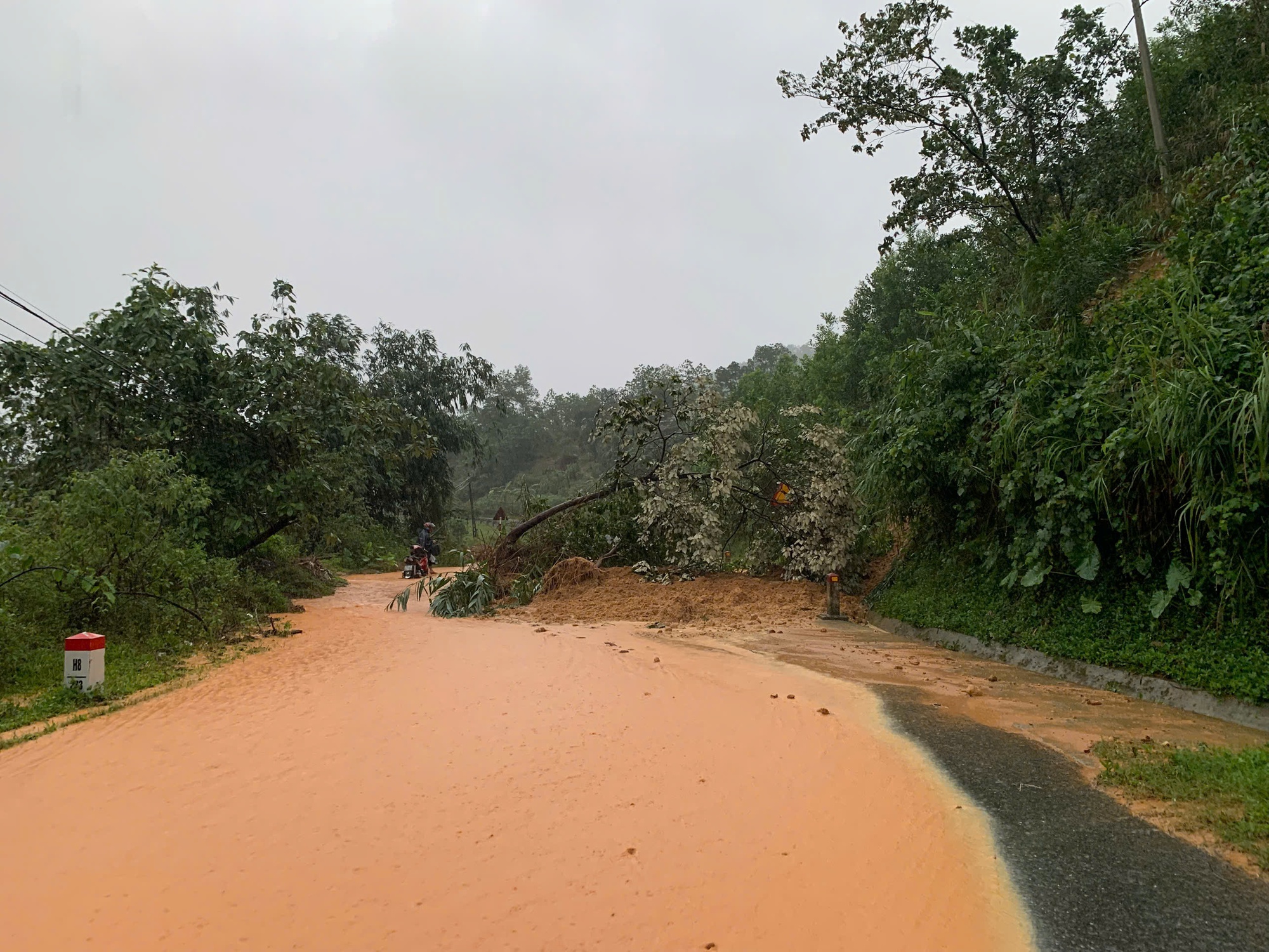 Quảng Trị: Hơn 1.400 hộ bị ngập, nhiều tuyến giao thông chia cắt, một người mất tích- Ảnh 4. Quảng Trị: Hơn 1.400 hộ bị ngập, nhiều tuyến giao thông chia cắt, một người mất tích- Ảnh 4.