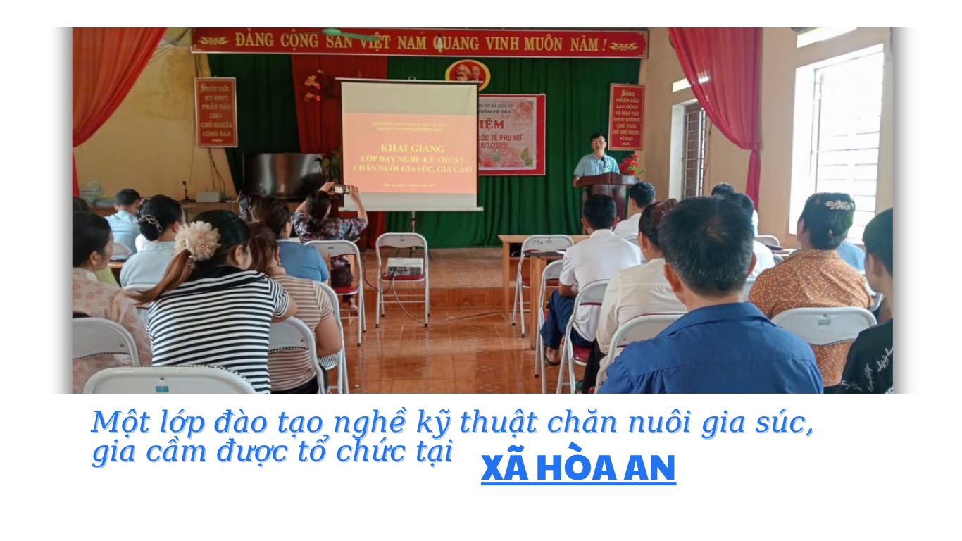 Đánh thức tiềm năng đồi rừng – Kinh tế vùng cao khởi sắc- Ảnh 2. Đánh thức tiềm năng đồi rừng – Kinh tế vùng cao khởi sắc- Ảnh 2.
