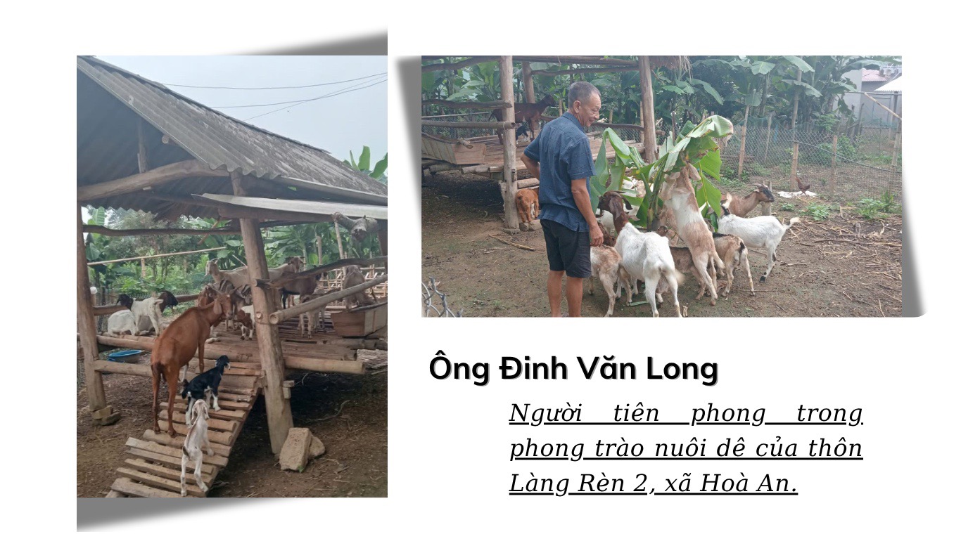 Đánh thức tiềm năng đồi rừng – Kinh tế vùng cao khởi sắc- Ảnh 1. Đánh thức tiềm năng đồi rừng – Kinh tế vùng cao khởi sắc- Ảnh 1.