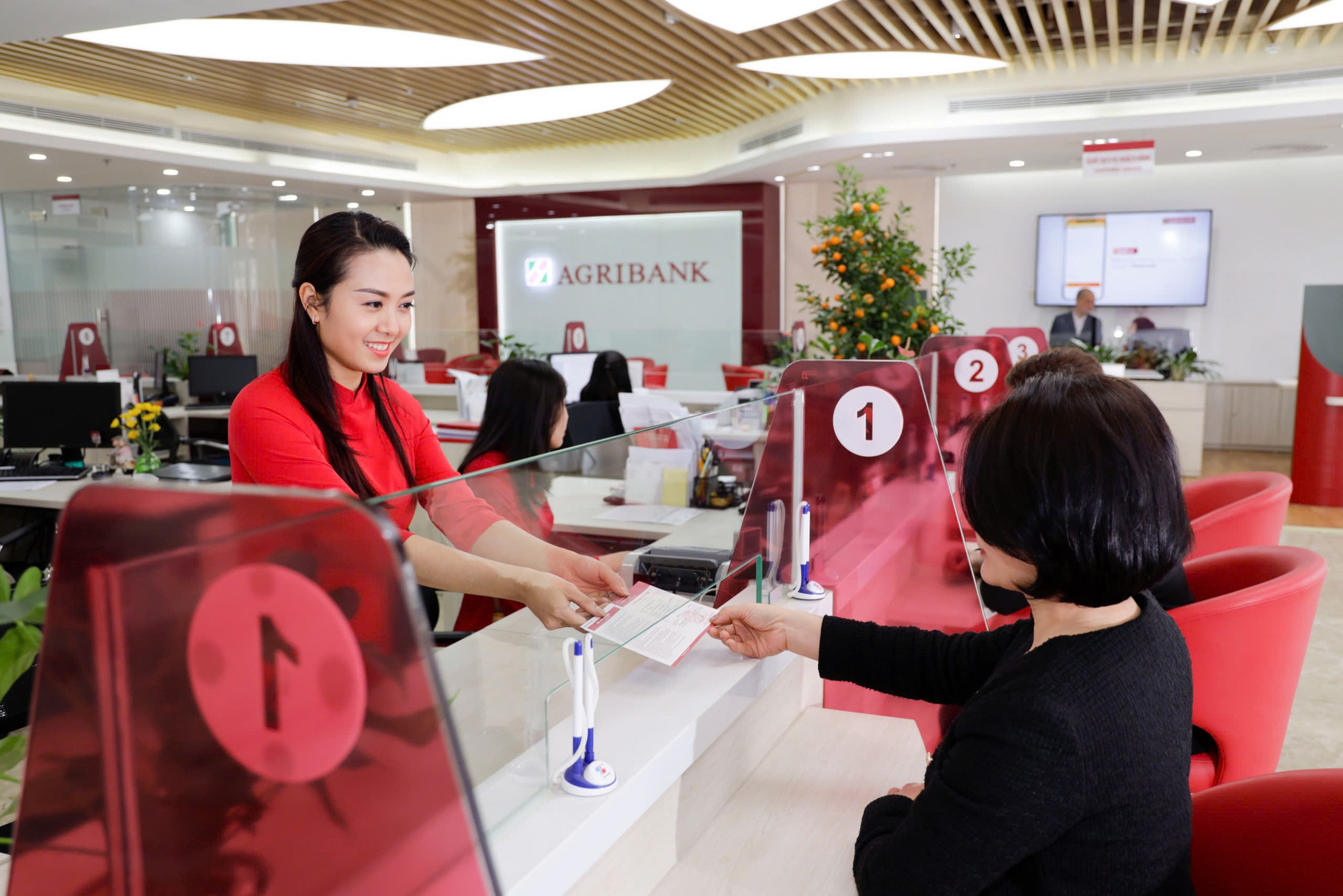 Gửi tiết kiệm Agribank: Cơ hội trúng 1 tỷ đồng- Ảnh 1.