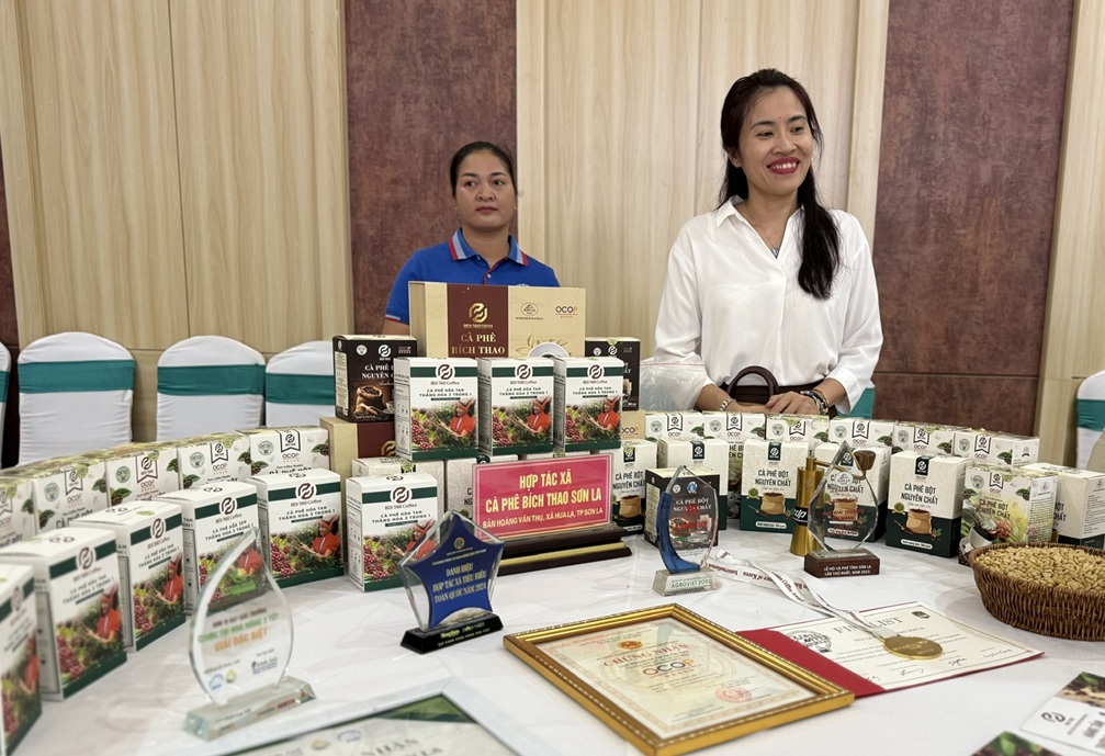 Tương lai cho cà phê chất lượng cao sau tái canh- Ảnh 2.