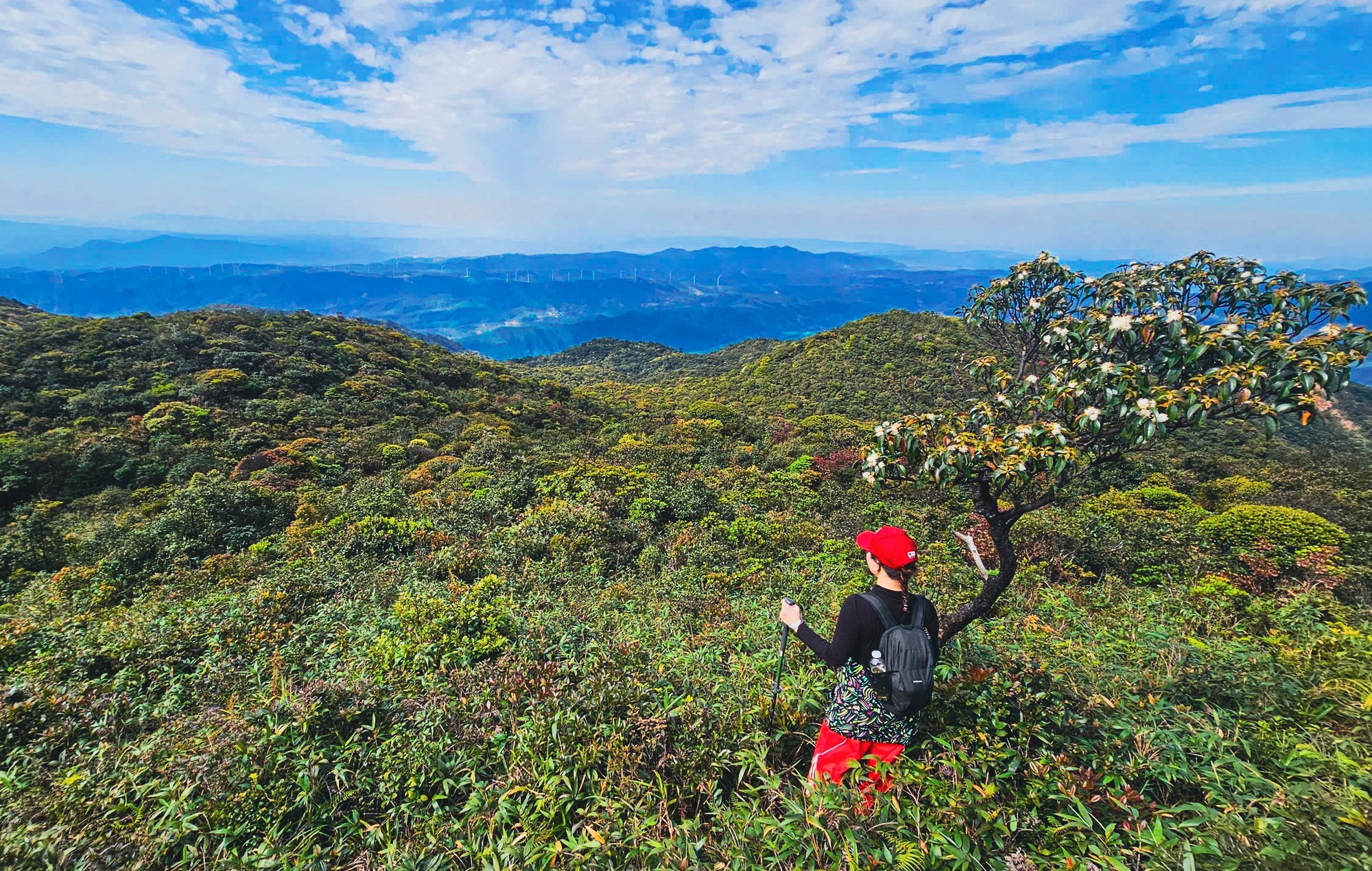 Ngắm biển mây cuồn cuộn, núi rừng nguyên sơ từ 'nóc nhà' Quảng Trị- Ảnh 8.