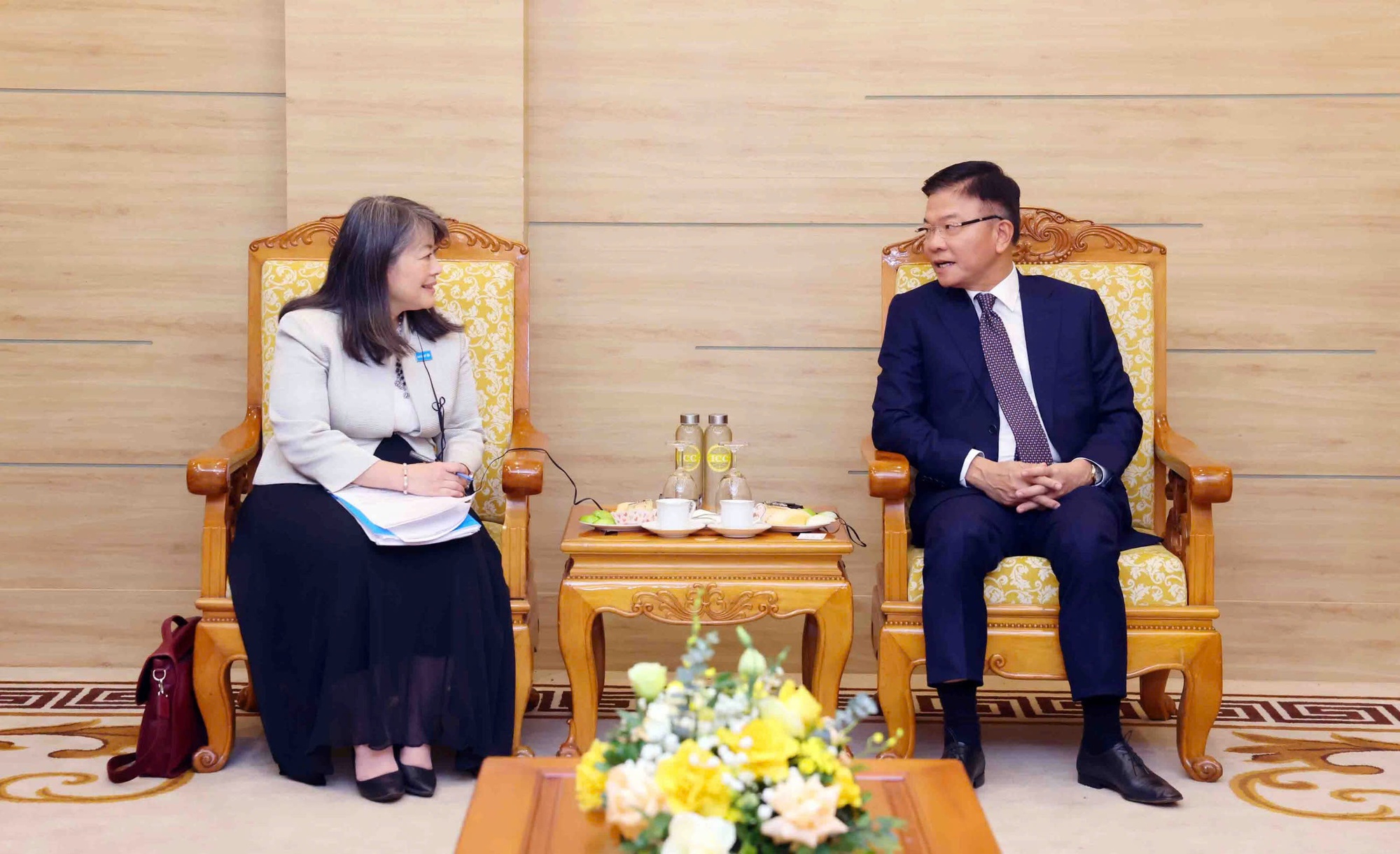 Phó Thủ tướng Lê Thành Long tiếp Giám đốc UNICEF khu vực Đông Á – Thái Bình Dương- Ảnh 2.