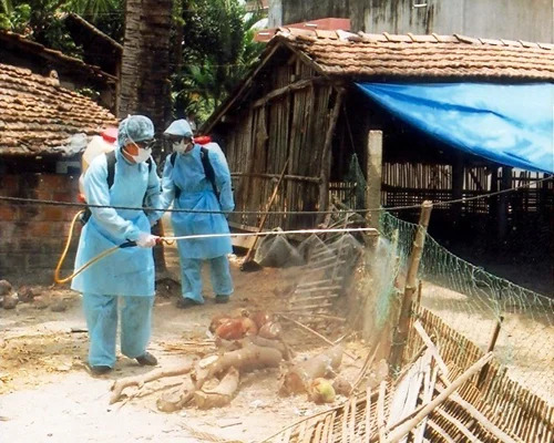 Siết chặt biện pháp phòng dịch, không để mầm bệnh lây lan, bùng phát- Ảnh 1.