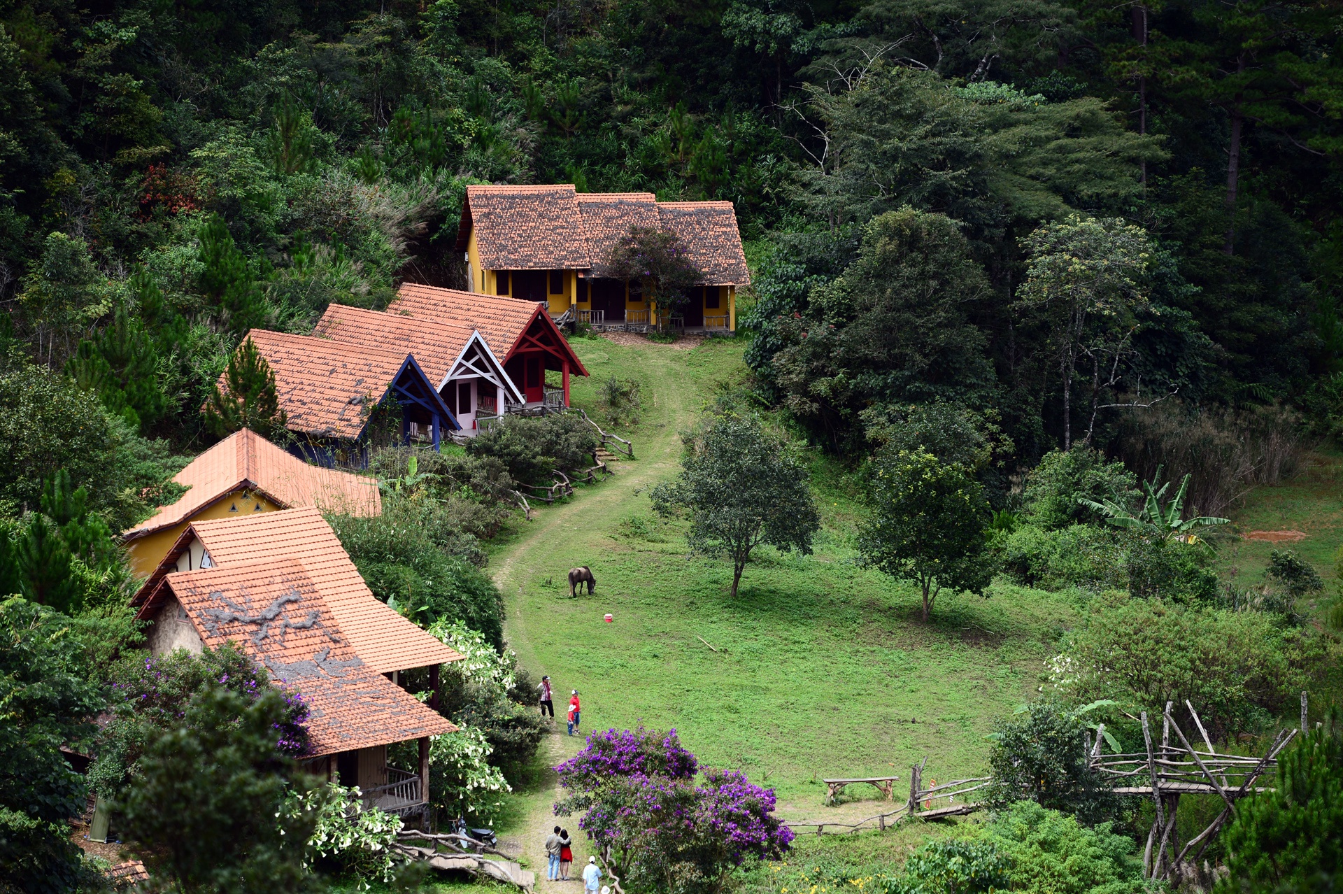 Sân bay Liên Khương dự kiến đóng cửa từ tháng 3/2026 để sửa chữa- Ảnh 2.