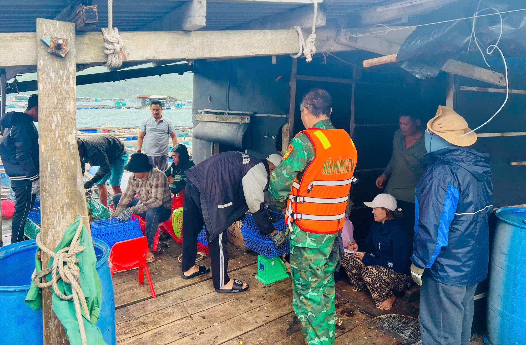 Ứng phó bão số 15: Đắk Lắk rà soát, sơ tán người dân trên các tàu, lồng bè- Ảnh 5. Ứng phó bão số 15: Đắk Lắk rà soát, sơ tán người dân trên các tàu, lồng bè- Ảnh 5.