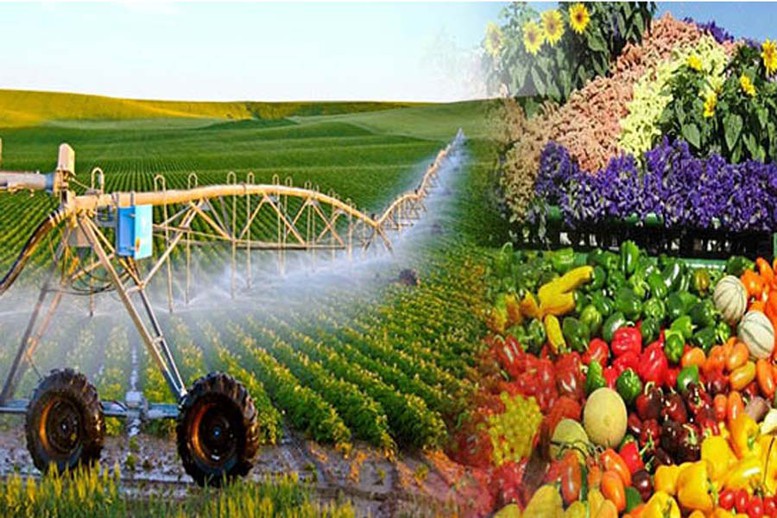 Sửa Luật Thuế GTGT: Khơi thông hoàn thuế, giảm áp lực vốn cho nông nghiệp và xuất khẩu- Ảnh 1. Sửa Luật Thuế GTGT: Khơi thông hoàn thuế, giảm áp lực vốn cho nông nghiệp và xuất khẩu- Ảnh 1.