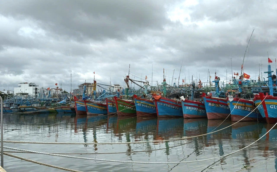 Gia Lai, Khánh Hòa: Khẩn trương triển khai các biện pháp cấp bách ứng phó bão số 15- Ảnh 1. Gia Lai, Khánh Hòa: Khẩn trương triển khai các biện pháp cấp bách ứng phó bão số 15- Ảnh 1.