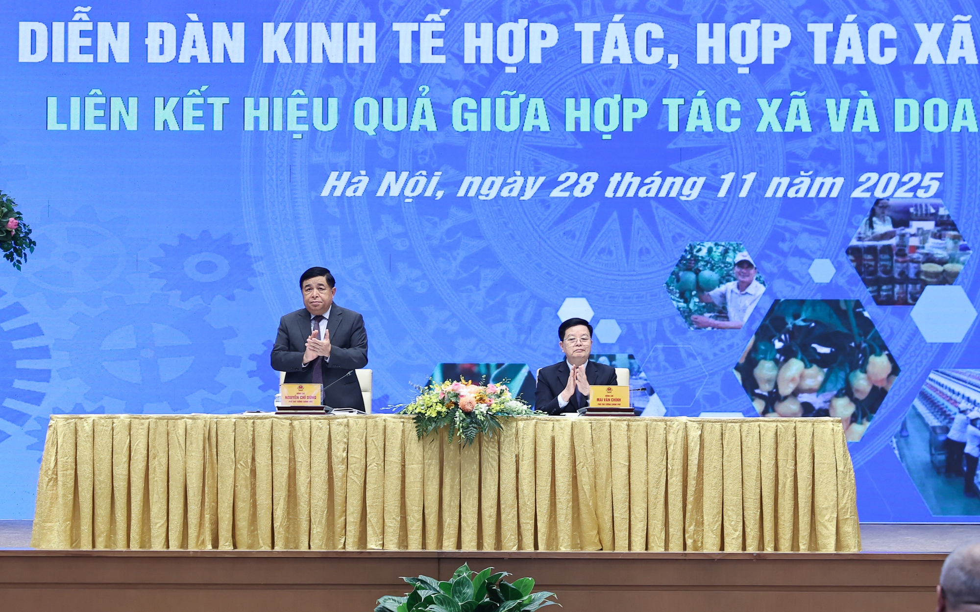 Liên kết hiệu quả giữa hợp tác xã và doanh nghiệp