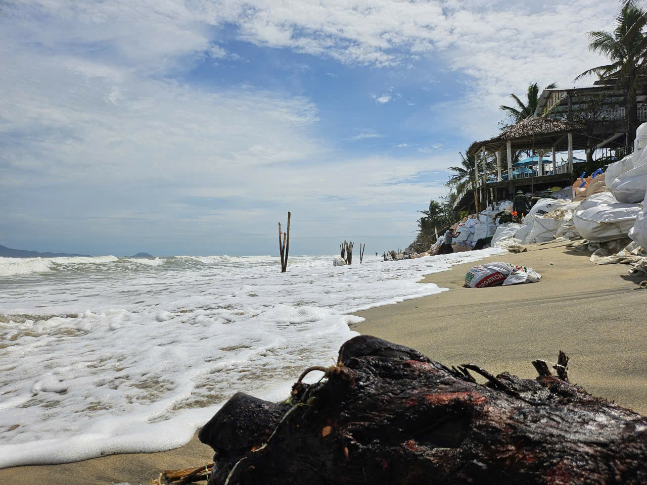Nỗ lực dựng kè chắn sóng, bảo vệ bờ biển Hội An trước bão Kalmaegi- Ảnh 1.