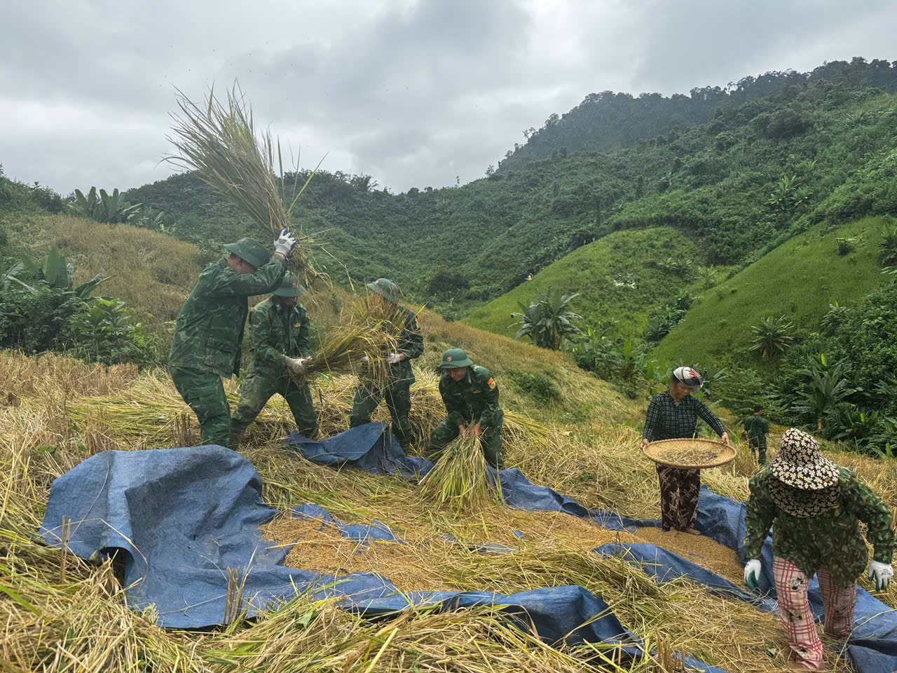 Chùm ảnh: Người dân miền Trung hối hả ứng phó bão số 13 (Kalmaegi)- Ảnh 11. Chùm ảnh: Người dân miền Trung hối hả ứng phó bão số 13 (Kalmaegi)- Ảnh 11.