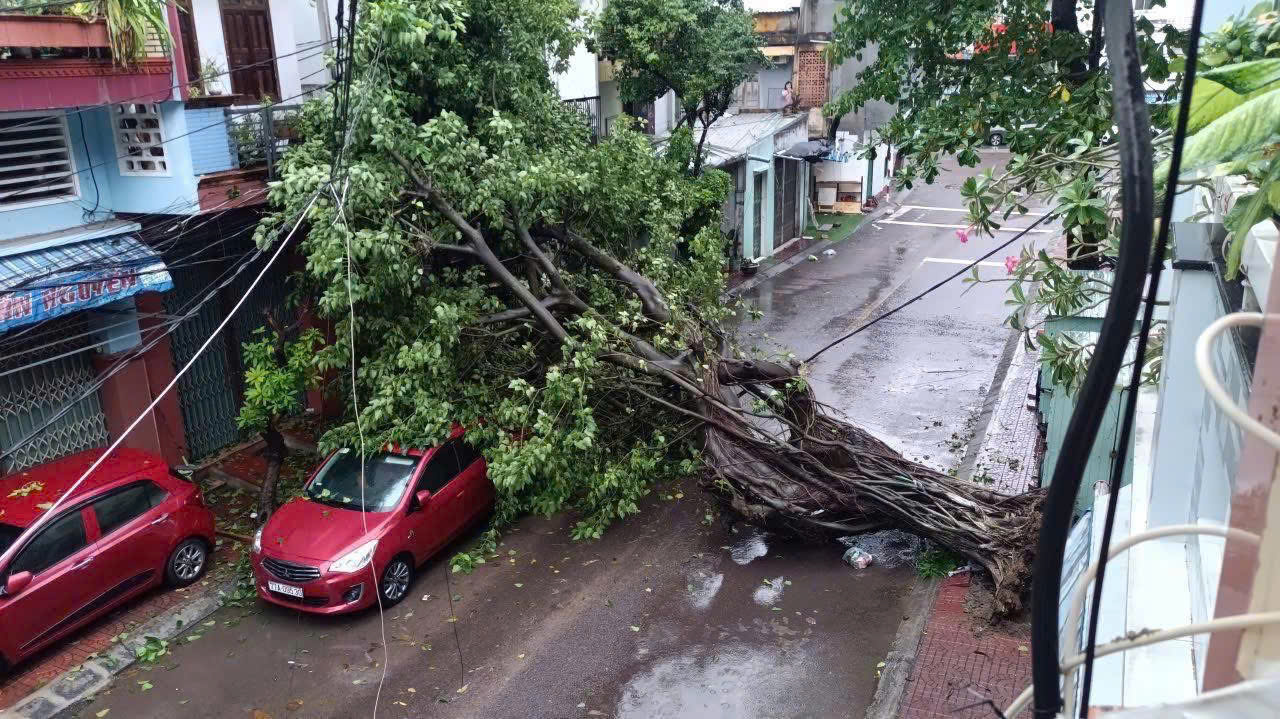 Bão số 13 (Kalmaegi) sắp đổ bộ, Gia Lai cấm đường từ 17h hôm nay- Ảnh 3. Bão số 13 (Kalmaegi) sắp đổ bộ, Gia Lai cấm đường từ 17h hôm nay- Ảnh 3.