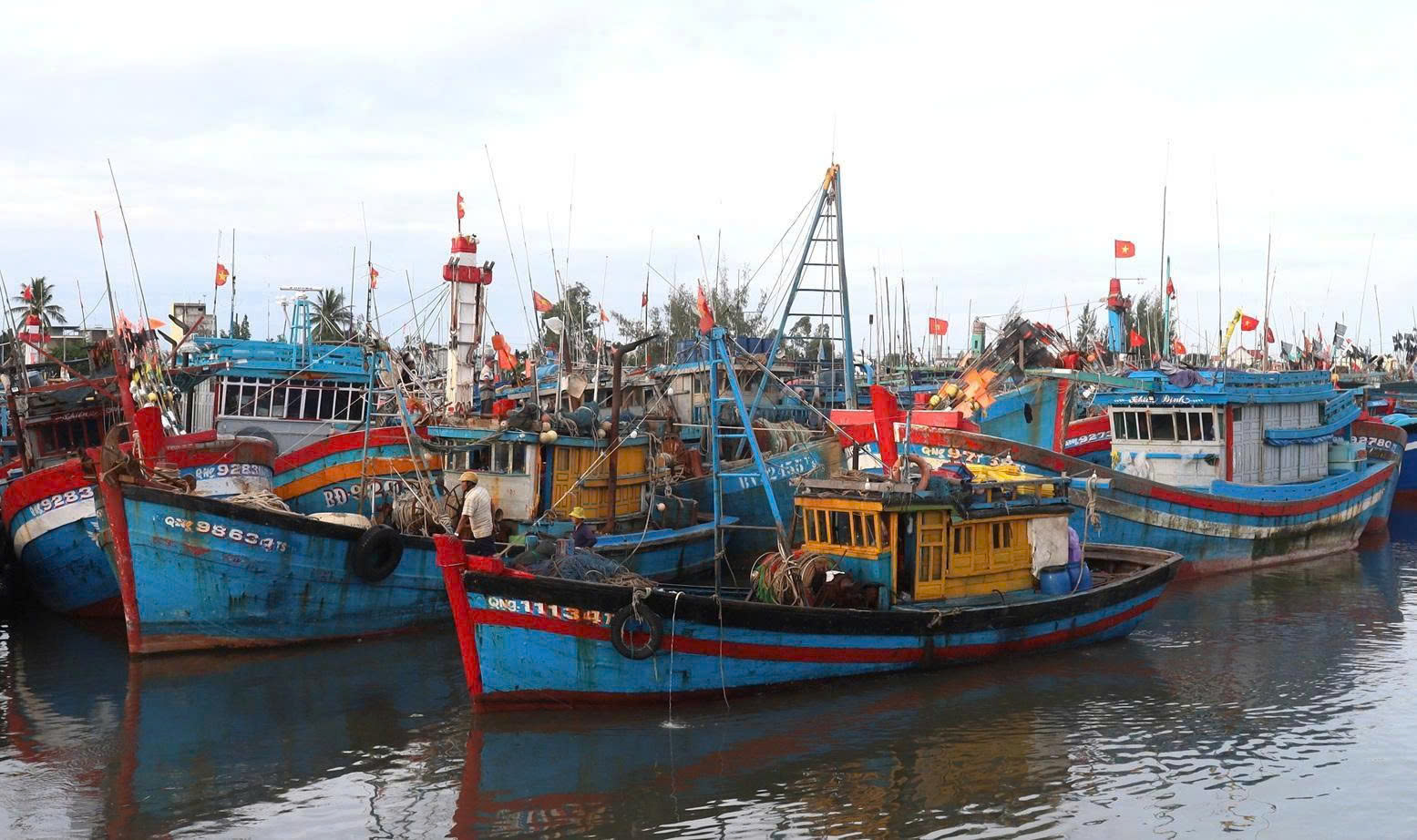 Quảng Ngãi: Toàn bộ hệ thống chính trị vào cuộc, tập trung toàn lực ứng phó bão số 13- Ảnh 3. Quảng Ngãi: Toàn bộ hệ thống chính trị vào cuộc, tập trung toàn lực ứng phó bão số 13- Ảnh 3.