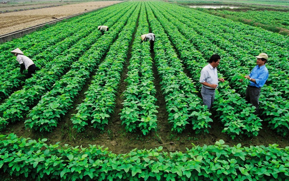 Sửa một số quy định về tiền sử dụng đất