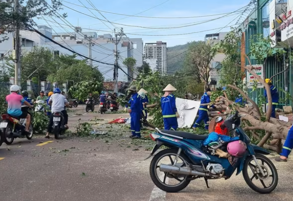 CHÙM ẢNH: Gia Lai khẩn trương ổn định cuộc sống người dân sau bão số 13- Ảnh 3. CHÙM ẢNH: Gia Lai khẩn trương ổn định cuộc sống người dân sau bão số 13- Ảnh 3.