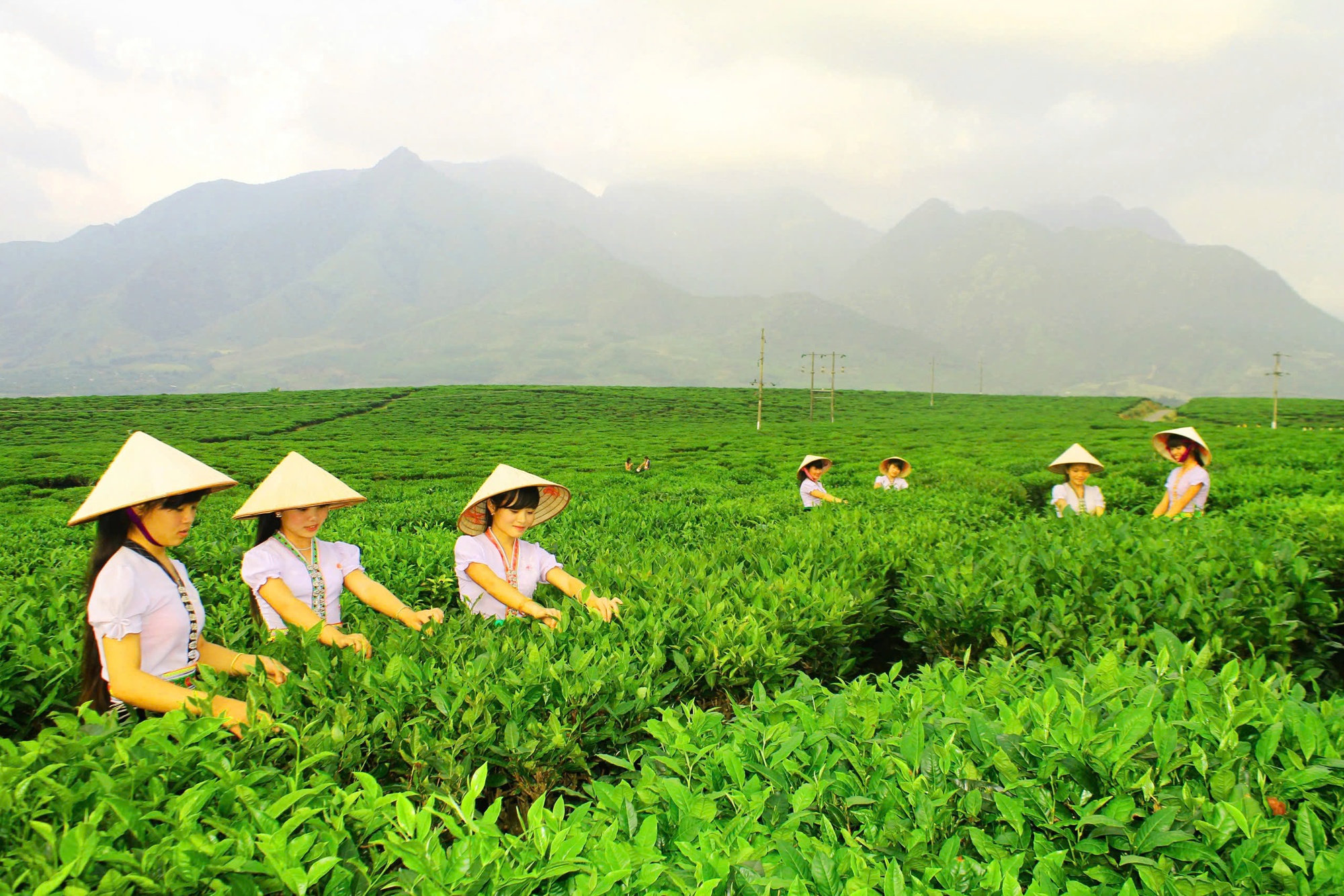 Sắp diễn ra Ngày hội sản phẩm vùng đồng bào dân tộc thiểu số và miền núi phía bắc- Ảnh 1.