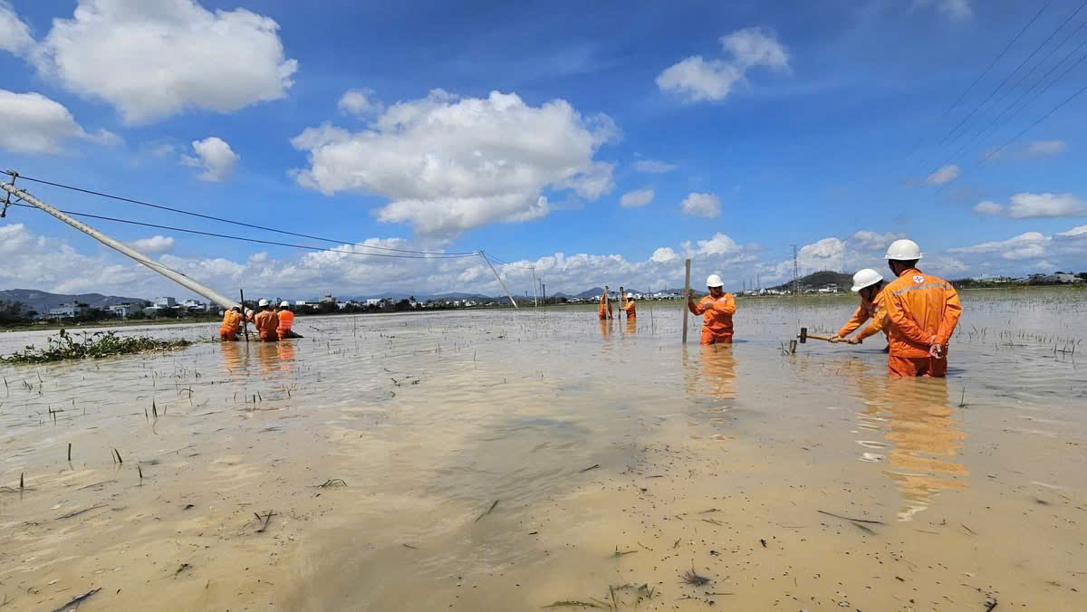 Tăng cường thêm 1.000 nhân lực khẩn trương khôi phục lưới điện tại Gia Lai, Đắk Lắk sau bão Kalmaegi- Ảnh 1. Tăng cường thêm 1.000 nhân lực khẩn trương khôi phục lưới điện tại Gia Lai, Đắk Lắk sau bão Kalmaegi- Ảnh 1.