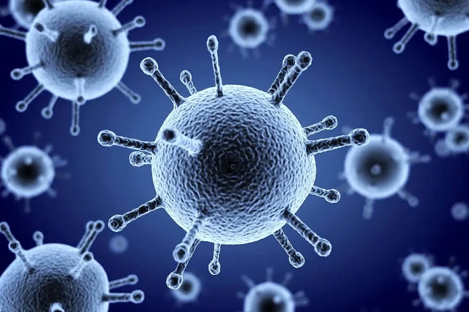 Mùa cúm toàn cầu gia tăng, virus cúm A chiếm ưu thế- Ảnh 1.