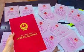 Căn cứ, thẩm quyền xét cấp Giấy chứng nhận quyền sử dụng đất lần đầu