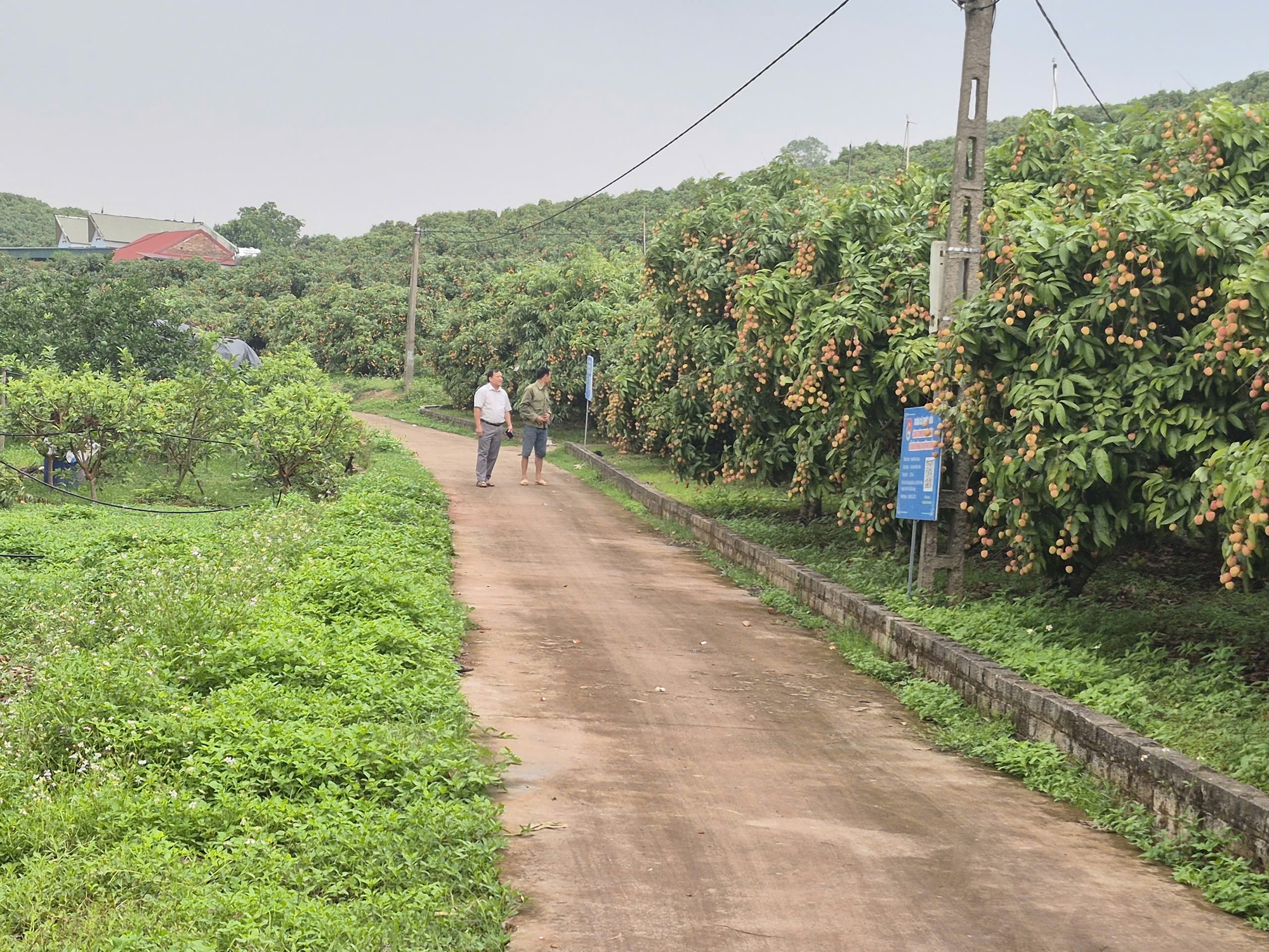 Nông dân Bắc Ninh làm chủ kỹ thuật, chung sức dựng xây nông thôn mới- Ảnh 2. Nông dân Bắc Ninh làm chủ kỹ thuật, chung sức dựng xây nông thôn mới- Ảnh 2.
