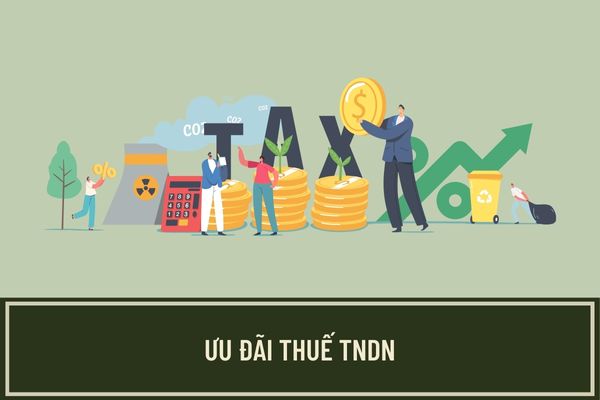 Trường hợp nào được ưu đãi thuế thu nhập doanh nghiệp?- Ảnh 1.
