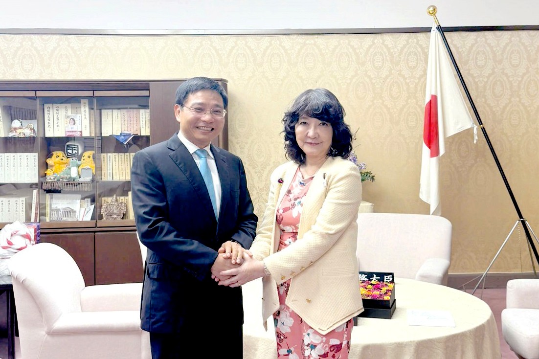 Việt Nam và Nhật Bản chia sẻ kinh nghiệm quản lý thuế, chuyển đổi số- Ảnh 2.