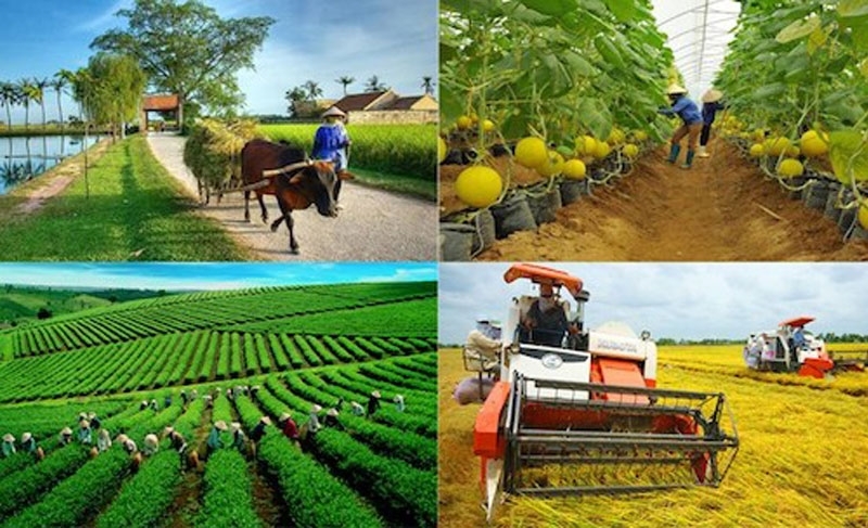 ADB và BIDV ký gói tài chính 250 triệu USD hỗ trợ nông nghiệp bền vững, nữ chủ DN- Ảnh 1.