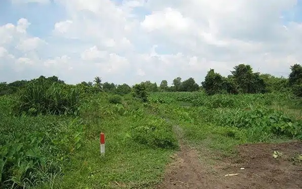 Đất khai hoang có xin cấp Giấy chứng nhận được không?