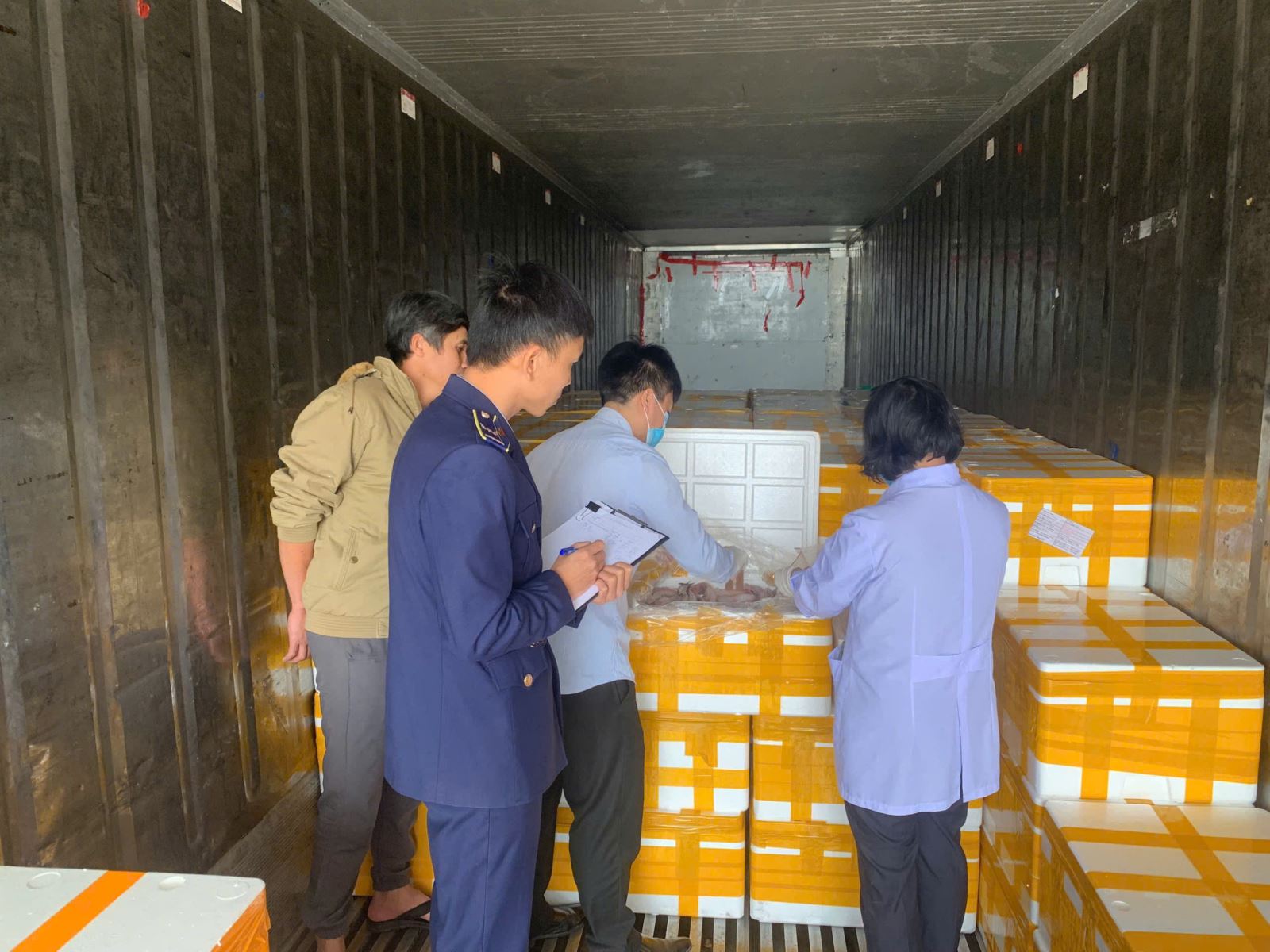 Phát hiện trên 10 tấn cá khoai chứa chất bảo quản cực độc- Ảnh 1.