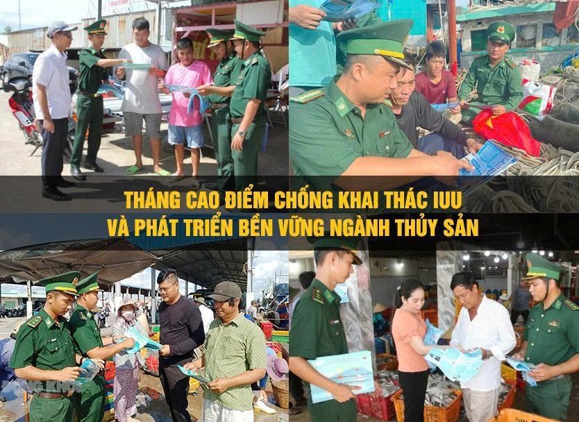 Cà Mau tạo chuyển biến toàn diện trong chống khai thác IUU- Ảnh 1.