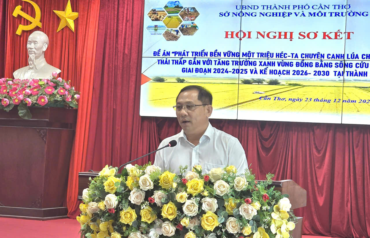 Cần Thơ quyết liệt triển khai Đề án 1 triệu ha lúa, hướng tới sản xuất xanh, phát thải thấp bền vững- Ảnh 3.