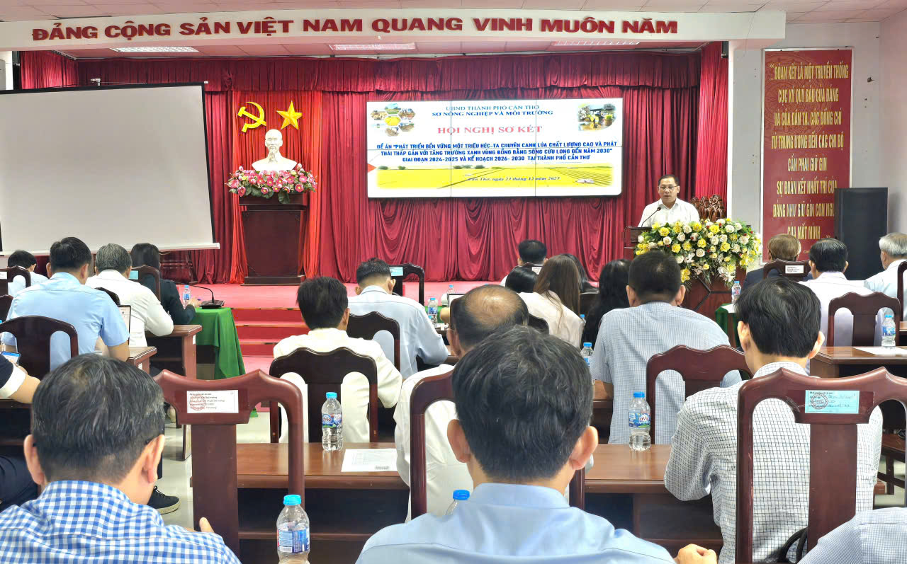 Cần Thơ quyết liệt triển khai Đề án 1 triệu ha lúa, hướng tới sản xuất xanh, phát thải thấp bền vững- Ảnh 1.