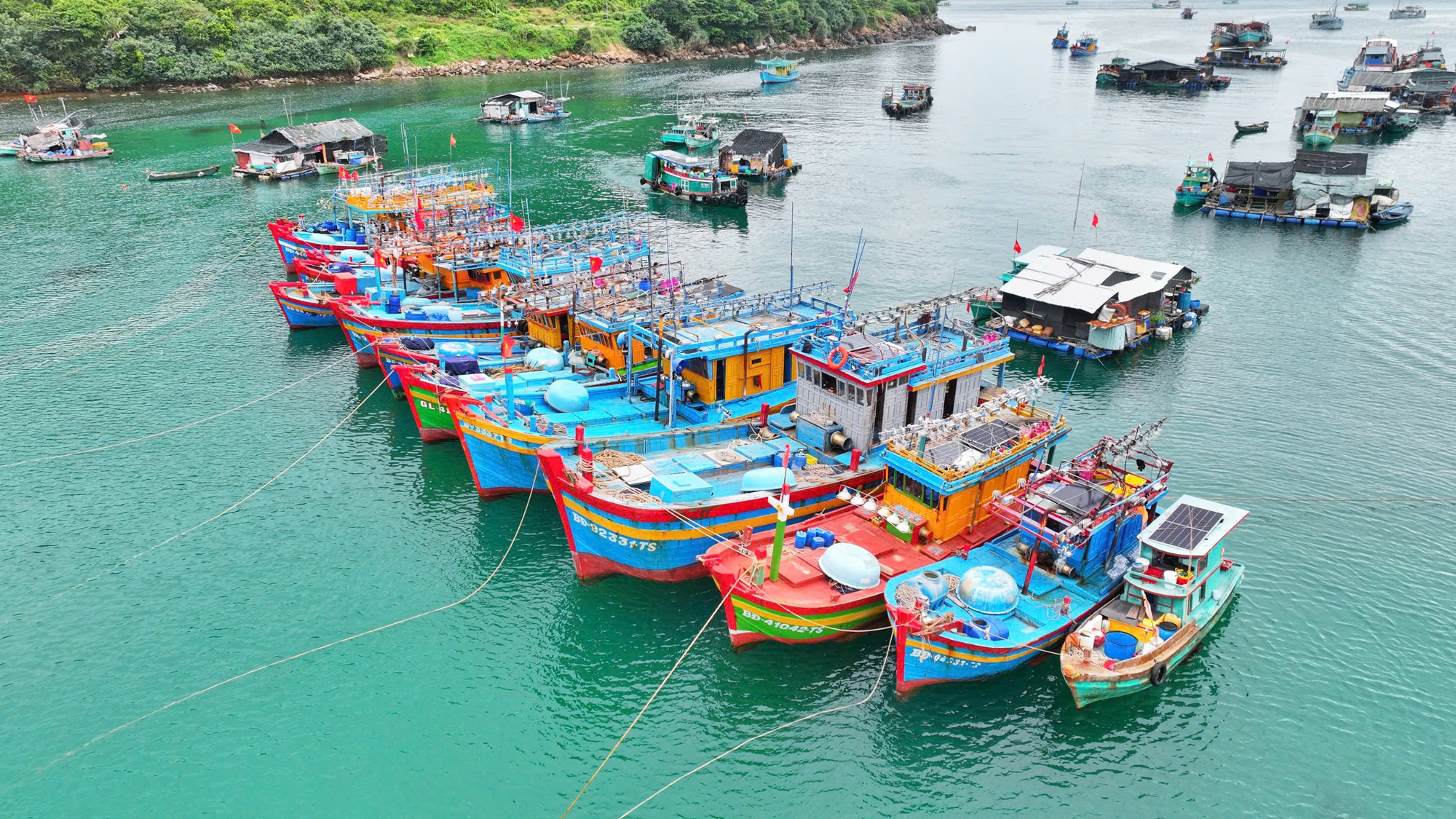 An Giang chuẩn hóa quản lý nghề cá, đáp ứng yêu cầu chống IUU của EC- Ảnh 2.