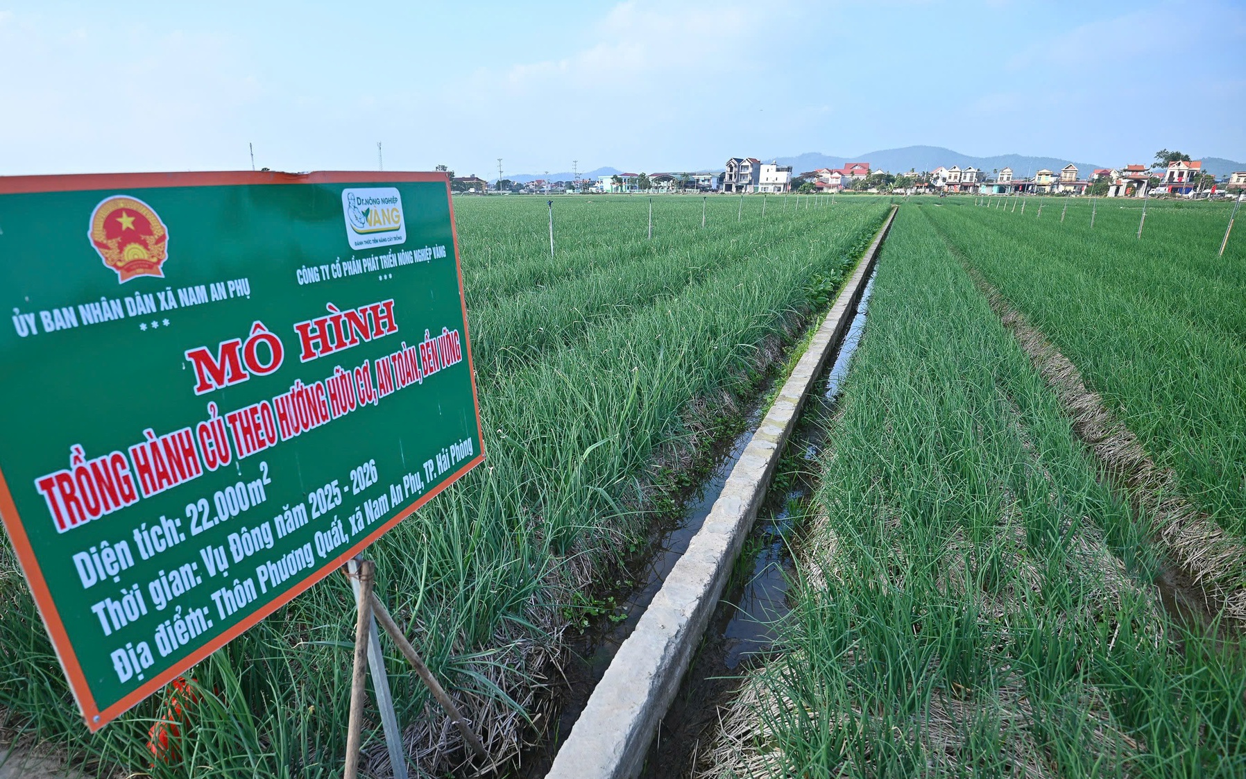 Thị trường rau củ nội địa: Cơ hội, thách thức và hướng phát triển