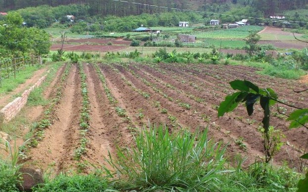 Chính sách bồi thường, tái định cư khi thu hồi đất VAC