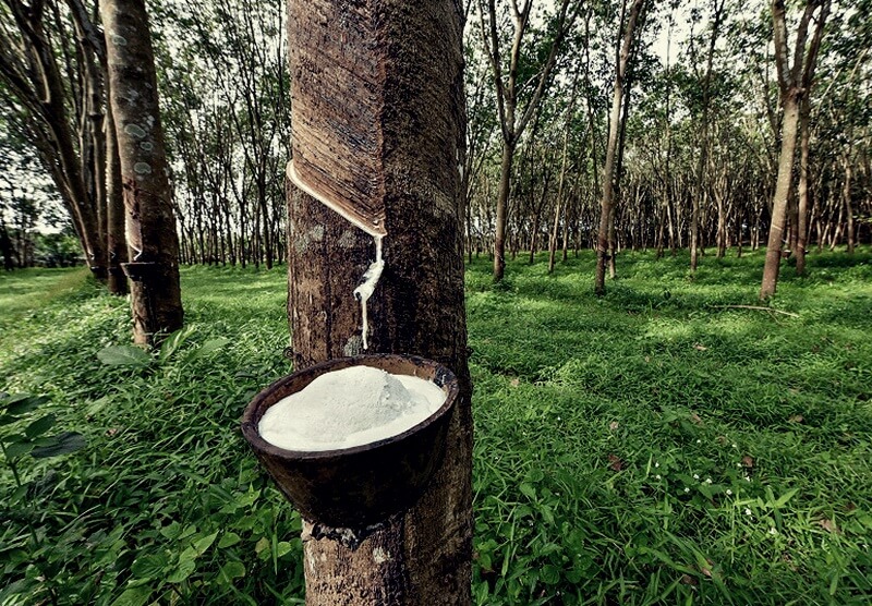 THỊ TRƯỜNG HÀNG HÓA: Thanh khoản mỏng, giá cao su đi ngang trong kỳ nghỉ Giáng sinh- Ảnh 1.