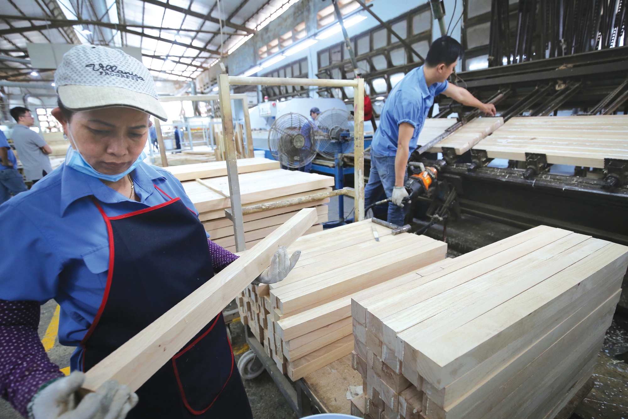 Ngành lâm nghiệp 2025: Vượt khó, giữ rừng, tăng trưởng cao- Ảnh 1. Ngành lâm nghiệp 2025: Vượt khó, giữ rừng, tăng trưởng cao- Ảnh 1.