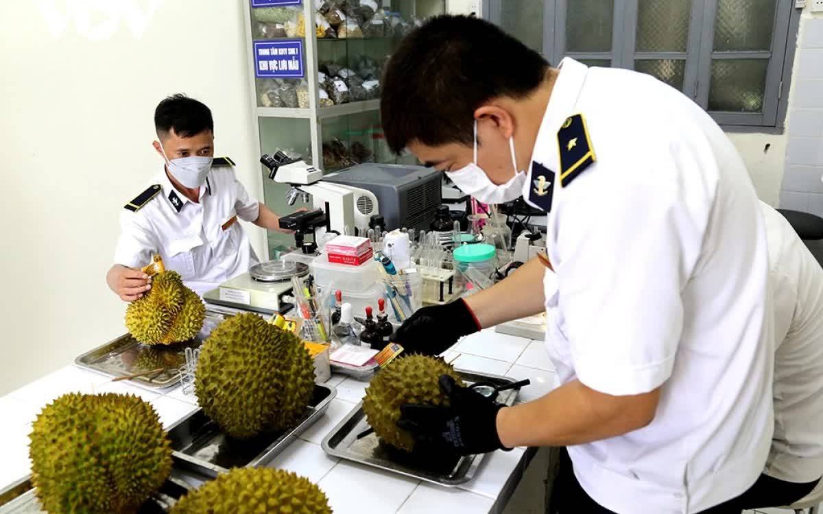 Gỡ vướng đăng ký phòng thử nghiệm phục vụ xuất khẩu sầu riêng